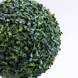 Arbuste Boules de Buis Topiaire en Pot