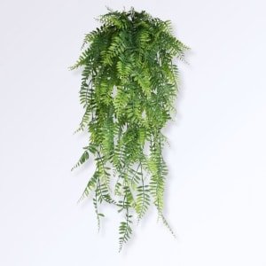 Plante Verte Retombante Artificielle Feuilles de fougère