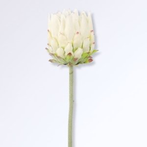 Fleur d'Artichaut Artificielle Blanc