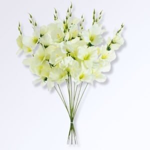 Orchidées Artificielles Blanches