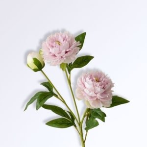 Pivoine Fleurs Artificielles Comme des Vraies Rose - violet