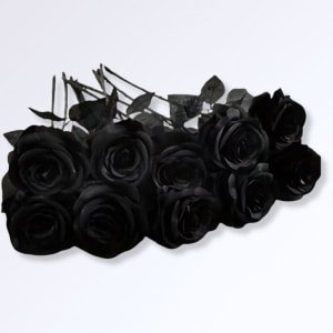 Roses Noires Artificielles