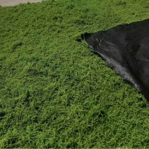 Tapis de mousse artificielle