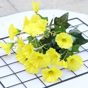 Nouveautés Géranium avec Lierre Artificiel Jaune