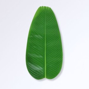 Nouveautés Grandes Feuilles de Bananier Artificielles L