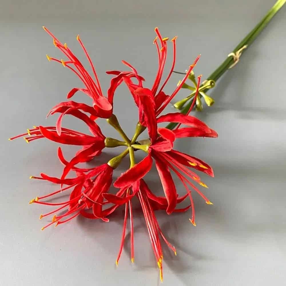 Lycoris Fleur Artificielle Lycoris Fleur Artificielle Rouge