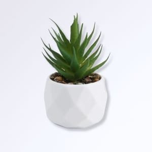 Nouveautés Mini Succulente Artificielle en Pot B